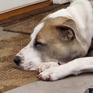 Meet your Posher, Jenae